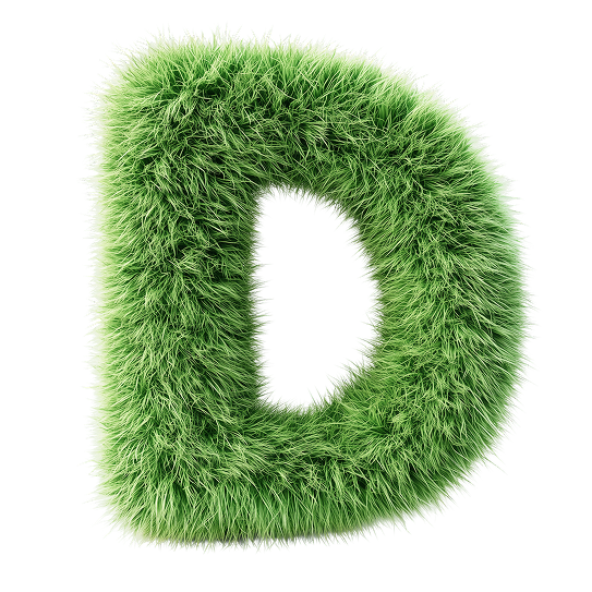D